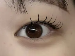 ✨フラットラッシュ100本✨