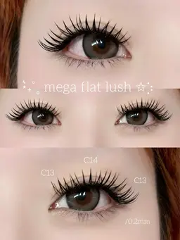 メガフラットラッシュ80束(練習モデル)