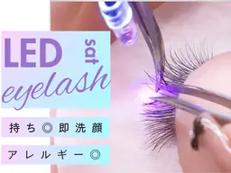 LED 🎀人気　[ワンホンマツエク]    100束　🎀❗️❗️オフあり➕500円❗️❗️🍬コーティング付