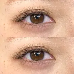 3Dレイヤー300本まで