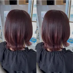 【🌸新規様限定🌸】🩶ブリーチなしＷカラー🩶🫧カラーエステ🫧✖️💎Aujua2ステップトリートメント💎
