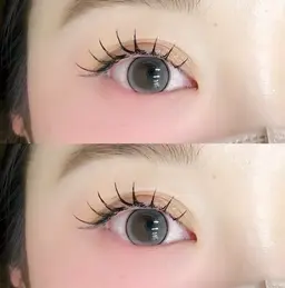 フラッシュラッシュ100本