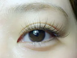 セーブル100本コース、オフ込み