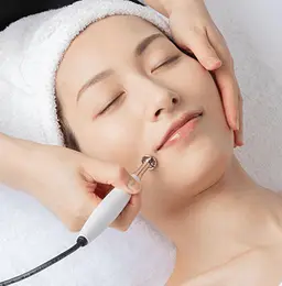 エレクトロポレーション〈プラセンタ＆ビタミンC〉