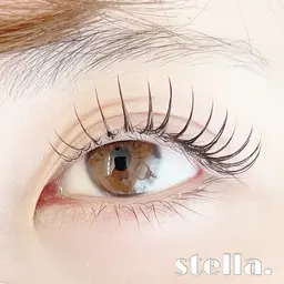 🎀フラットラッシュ100本🎀付け足し不可🆖オフ別途500円