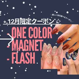 【12月限定】当日選べる|ワンカラー・マグネット・フラッシュ*9490→6490⦅オフなし⦆