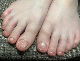 (オフあり)ワンカラーコース