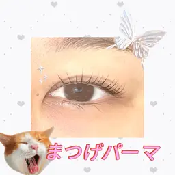 まつ毛パーマ🎀艶トリートメント付き🧸