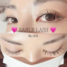 🧡 LEDセーブル 🧡(120本) ⚠️必ず補足説明を御一読下さい⚠️