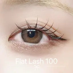 フラットラッシュ100