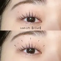 【上品ナチュラルセット🕊️】ラッシュリフト×眉WAX🌿🫧