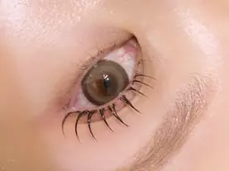 【持続力UP🌼 ͛.*】ラッシュリフト➕アイシャンプー🫧➕コーティング付き(再来¥6,050)