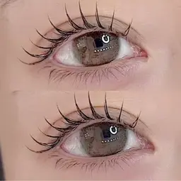 11月25日​〜​12月6日限定  🫧LEDマツエクオフ込みフラットラッシュ最大１００本🫧