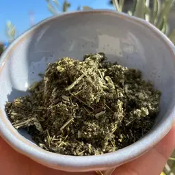 人気👑No1！若よもぎ蒸し🌿