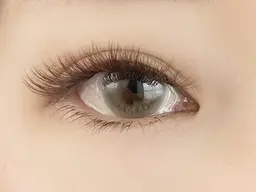 ボリュームラッシュ3D.4D/80~100束