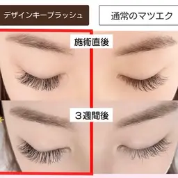 【オフ無】⭐️デザインキープラッシュ120本（60束）⭐️メニュー導入モデル