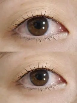 【新ロッド検証モデル】一重瞼の方限定♪まつ毛パーマ/無料モニター募集