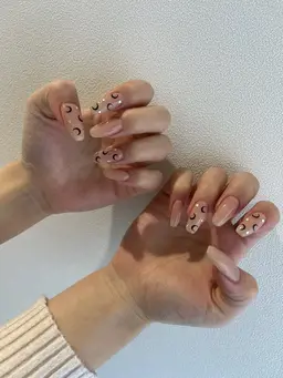 アート5本