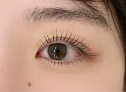 12月限定ラッシュリフト上下