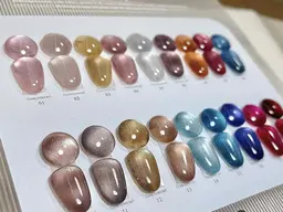 練習モデル期間限定価格^_^キラキラ✨マグネット