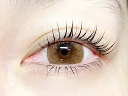 インスタ割♡［新規]コ-ティング美容液付!パリジェンヌラッシュリフト/3700