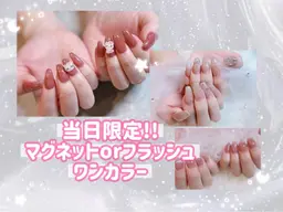 ⭐️当日限定⭐️[オフ無料！]マグネットorフラッシュワンカラー💅