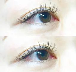 《ご新規様》フラットラッシュ120本