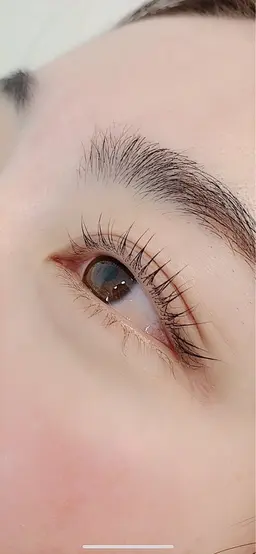 ラッシュリフト上のみ