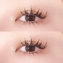 【☘️下まつげ40本まで】