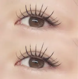 [11月限定価格/Jr.アイリストクーポン]  フラットラッシュ160本🍀