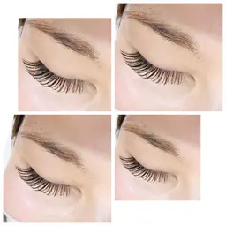 フラットラッシュ120本(オフあり)