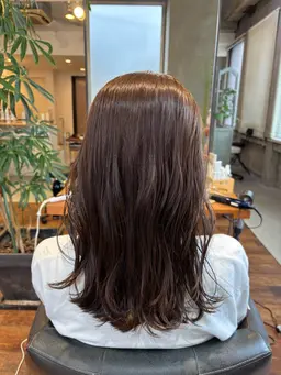 【モデル価格】ワンカラー🎀.⋆