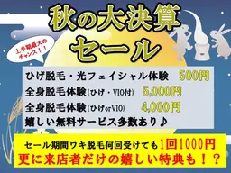 【大決算セール】今だけ何回でも1回千円！両ワキスッキリ脱毛♪