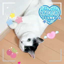【オフのみ】フット