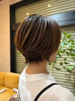 夏限定🎐🩵カット+ミルボン3steptreatment