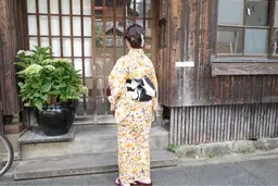 【夏限定割引】着付け+ヘアセット