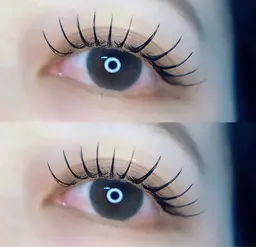 LEDフラットラッシュ120本【お仕上げコーティング付き】