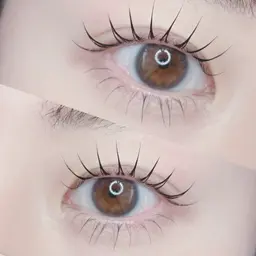 上下ラッシュリフト【まつ毛パーマ】