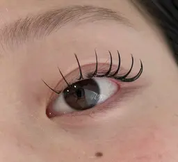 フラットラッシュ 付け足し50本