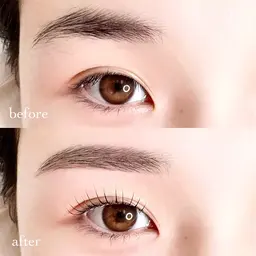 8/26限定🖤ラッシュリフト×アイブロウwax