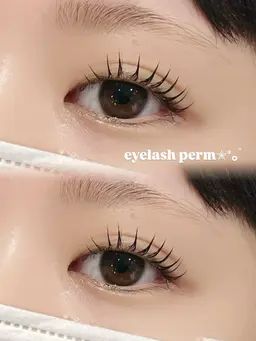 韓ドル風束感まつ毛パーマ➕コーティング仕上げ✨(上のみ)