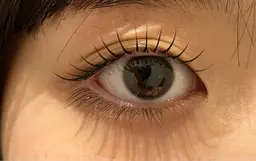 大人気メーテルロッドデザイン🪽ラッシュリフト