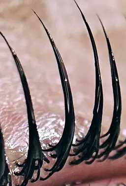 【韓国発】マスカラパーマ×似合わせパリジェンヌラッシュリフト ¥8000→7000