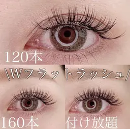 Wフラットラッシュ120本 ￥6,000