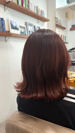 ワンカラー