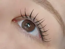 新規様限定𝜗𝜚【フラットラッシュ】120本　※オフなし（23.26日のみ空きあり）