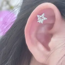 🍎耳つぼジュエリー  ⋆⸜ 2粒 ⸝⋆