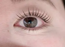 12月限定🎀クーポンラッシュアディクトsetマツエク100本