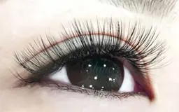 【無料練習モデル】4Dボリュームラッシュ=60束=
