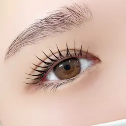 【人気No.1✨】ラッシュリフト（まつげパーマ）🎀束感仕上げ🧚